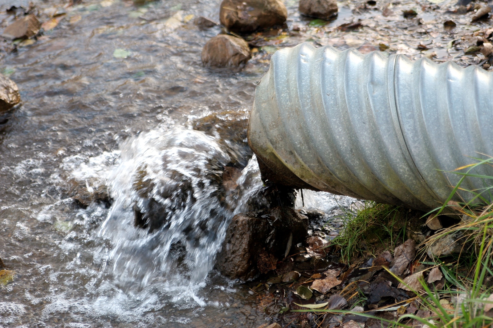 Storm-Ready Plumbing: Backwater Valves & Drain Upgrades